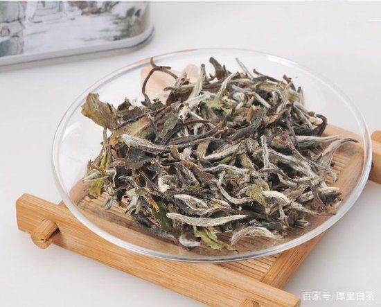 银针|为什么越来越多的人在喝白茶？白茶究竟哪里好？
