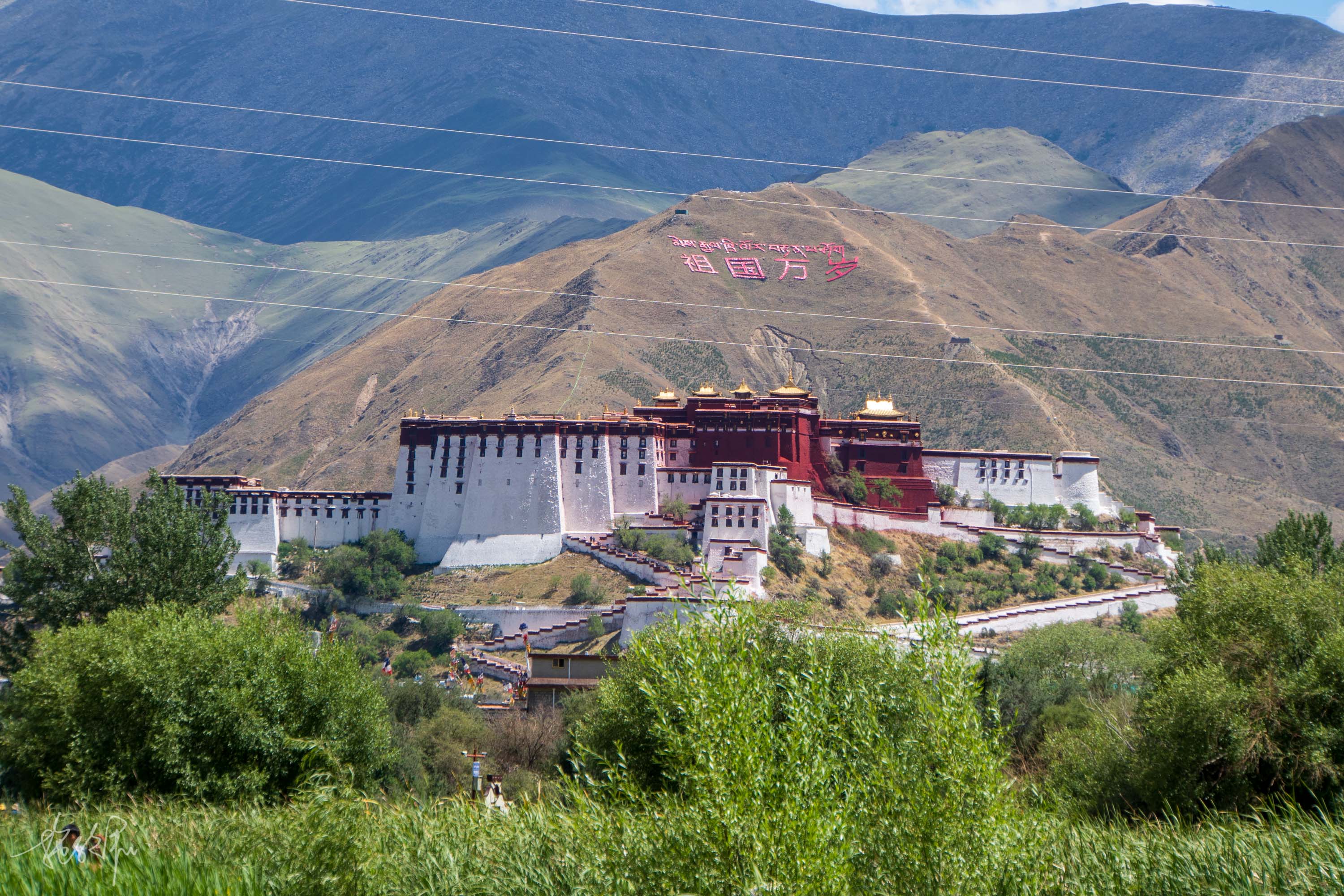 米路|拉鲁湿地，拉萨的肺，夏日乘凉好选择