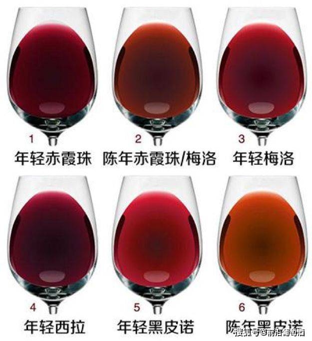 美国|品葡萄酒并不难!学会葡萄酒盲品是懂葡萄的必经之路!