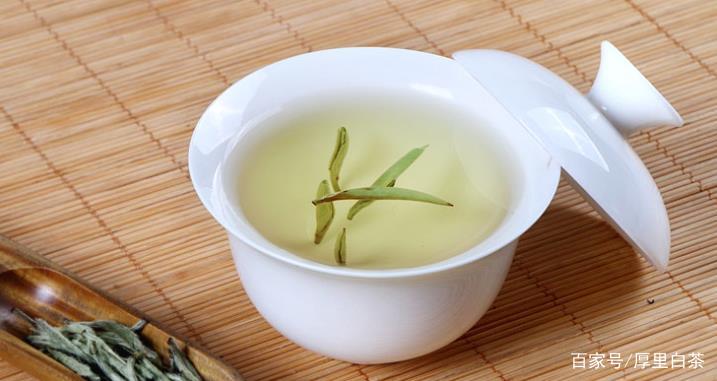 银针|为什么越来越多的人在喝白茶？白茶究竟哪里好？