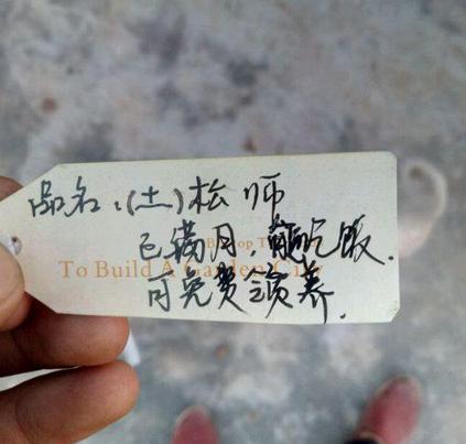 為了給狗狗找領養，這主人也是操碎心了，這樣算不算欺騙？ 萌趣萌寵 第3张