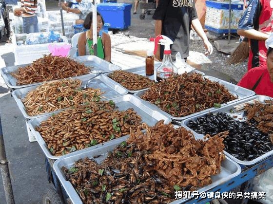 肠道|为什么总有人爱吃昆虫？专家研究发现，其营养价值难以预估