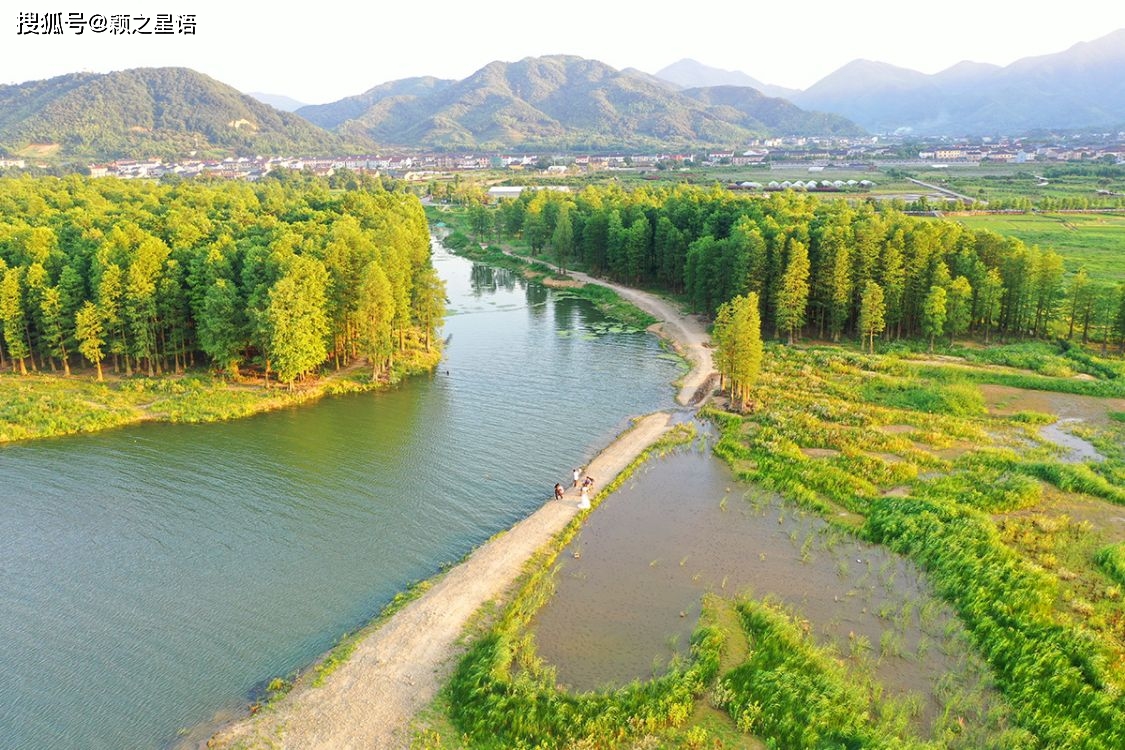 原創四明湖溼地公園開建網紅水杉林將成為收費景區