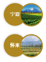 国产|破纪录的140枚奖牌，中国酒在第十五届G100大赛中再创佳绩