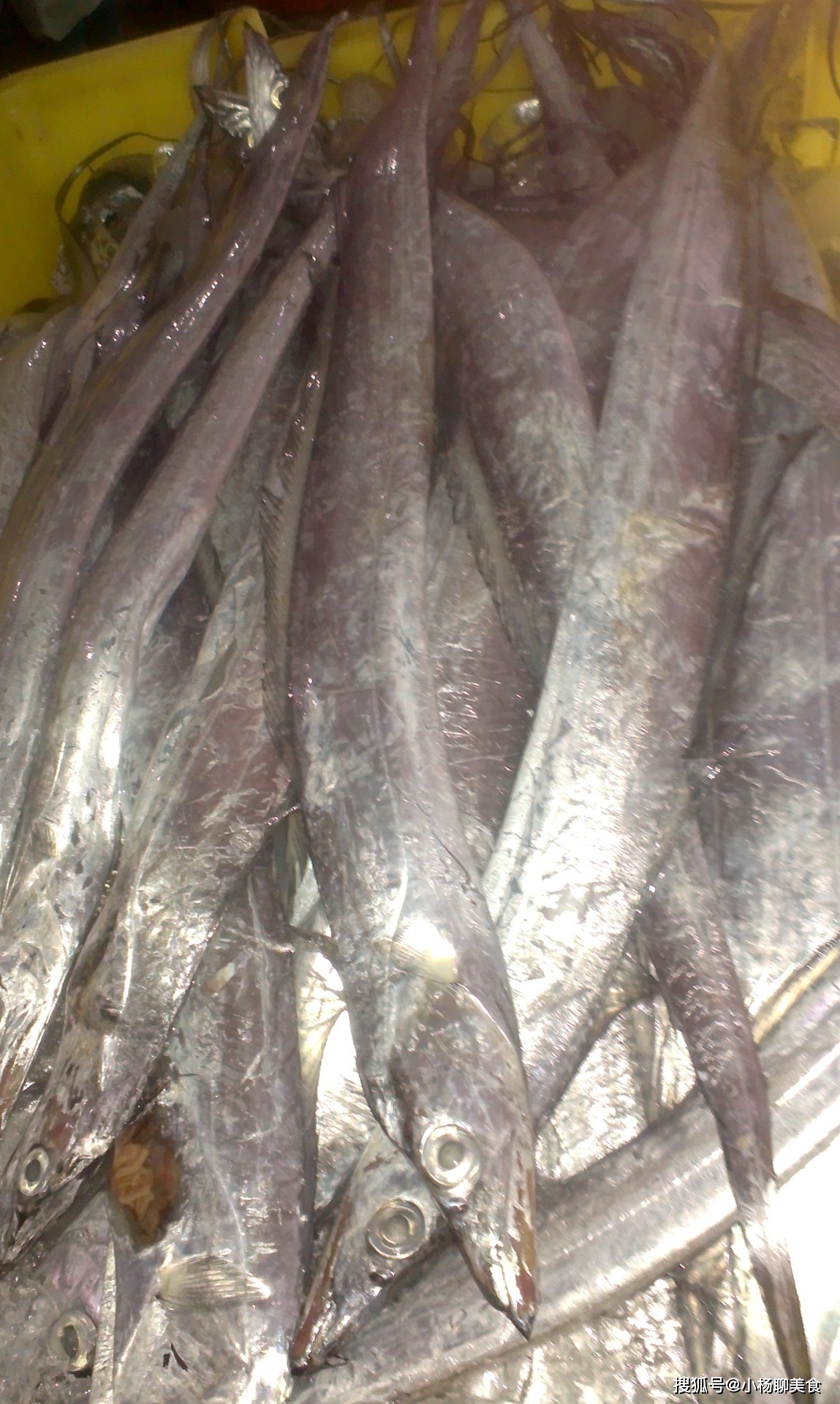 原创市场上卖的带鱼,是人工养殖的还是深海的?为啥很难见到活的带鱼