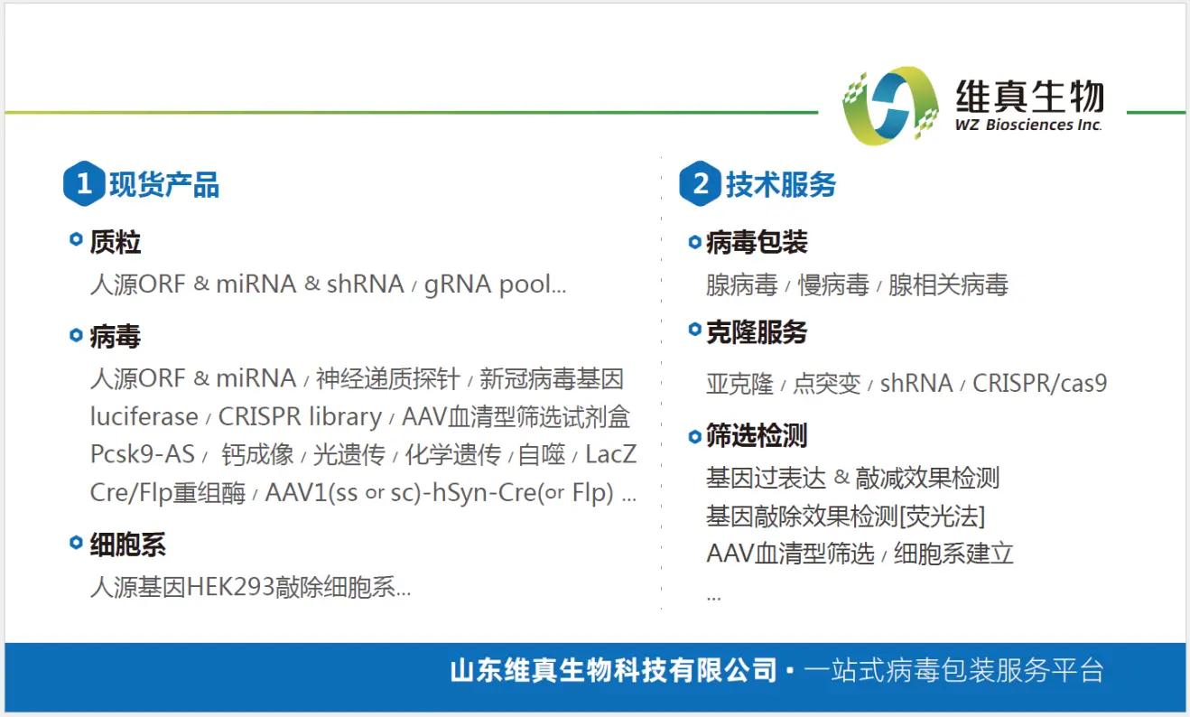 病毒|【维真生物_病毒包装】腺相关病毒/AAV在心脏中的应用及注射方法