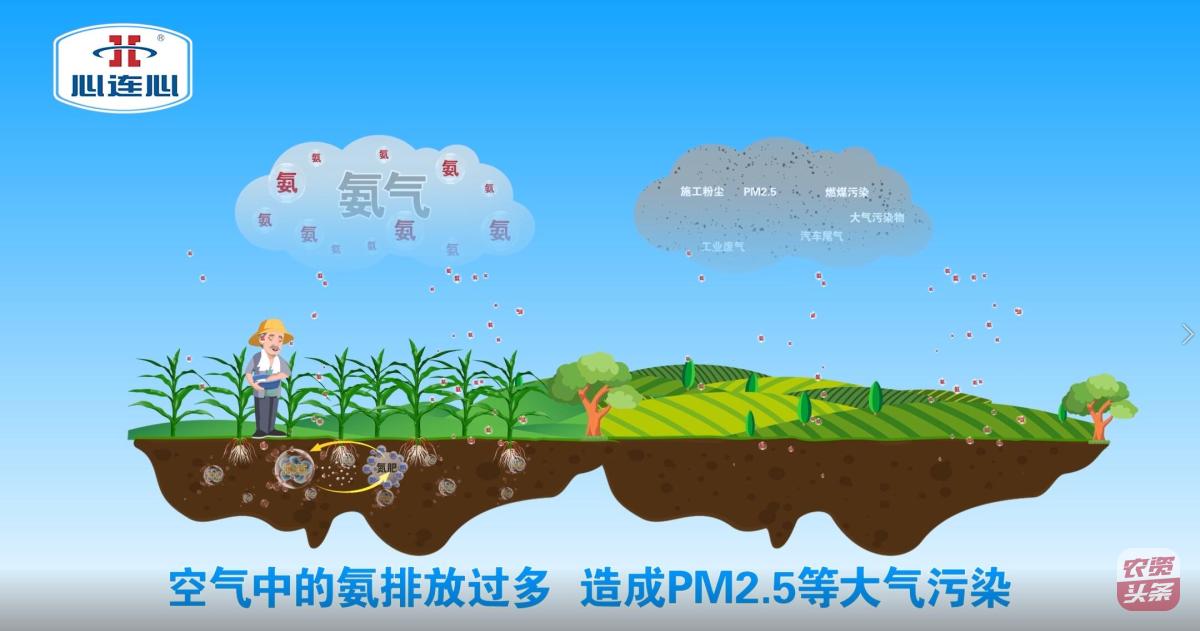 【关注】践行氨减排,心连心在行动!