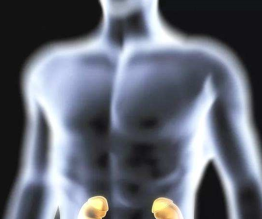 海拔|得了肾病,有一个地方要慎去,否则可能加重病情