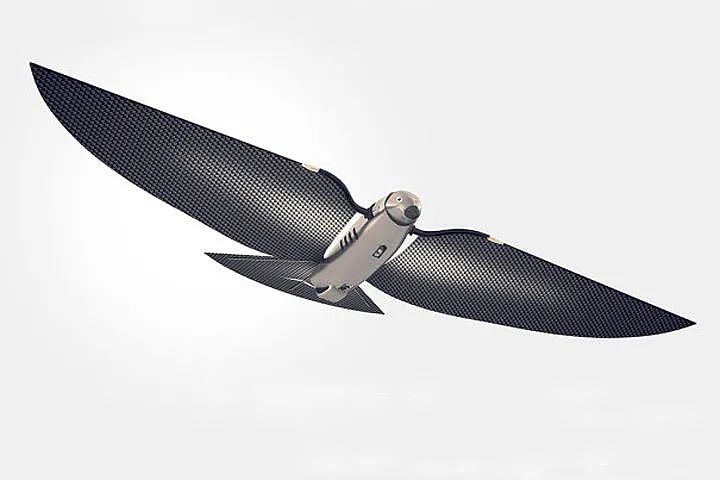 仿生学设计从自然获取灵感新易设计坊