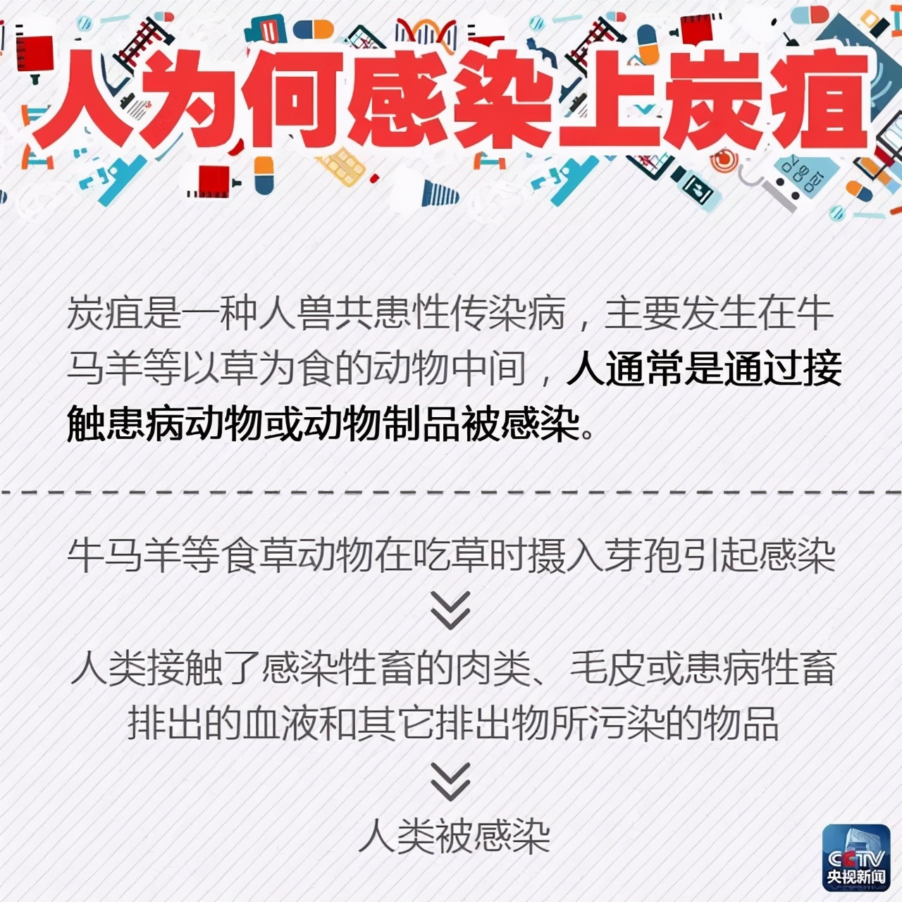 预防炭疽病主要有2种方式,首先第一个是接种疫苗.