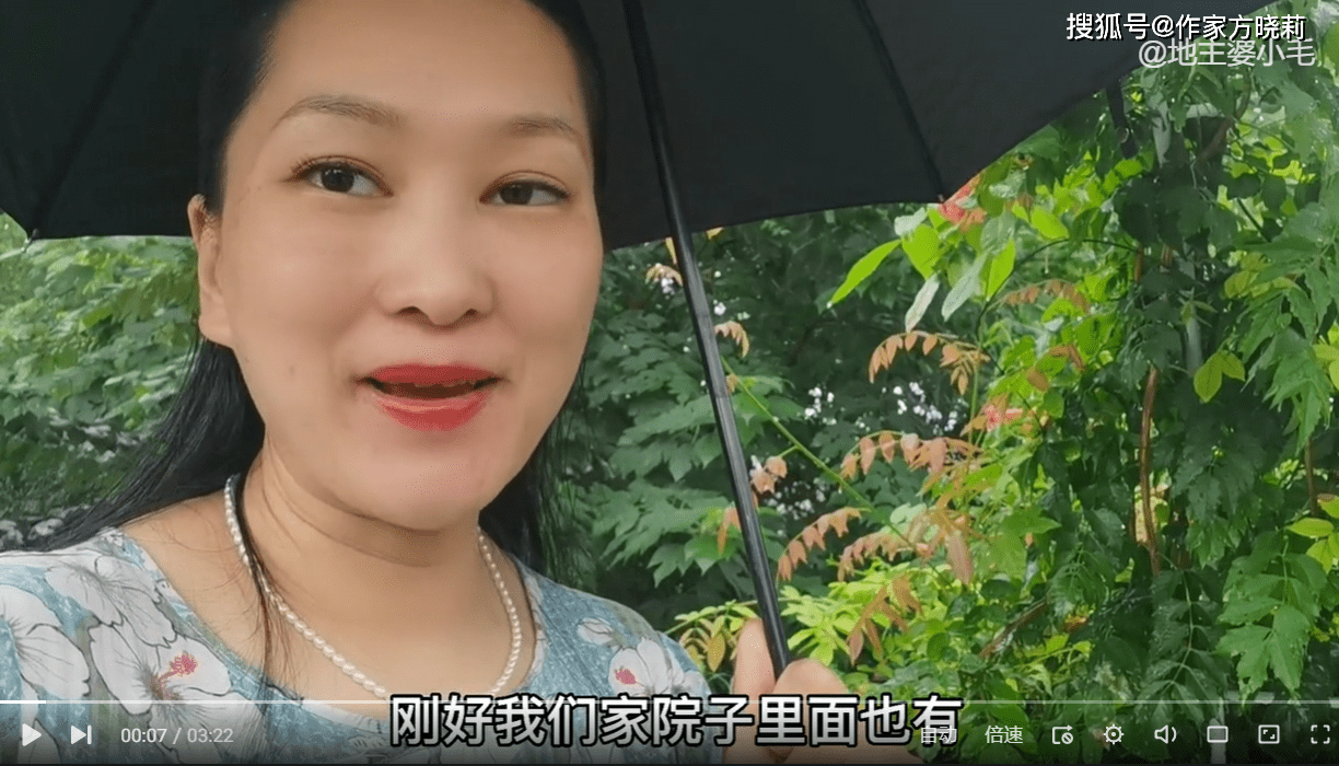 原创朱舅舅最新视频伞已透明柚结果了解读柚和伞是杭州常见