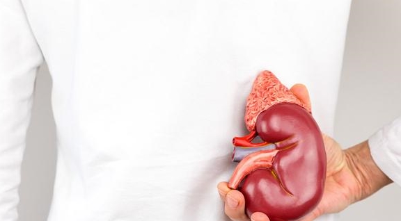 症状|肾衰竭早期,6大“信号”会异常“凸显”,却常常被忽视!