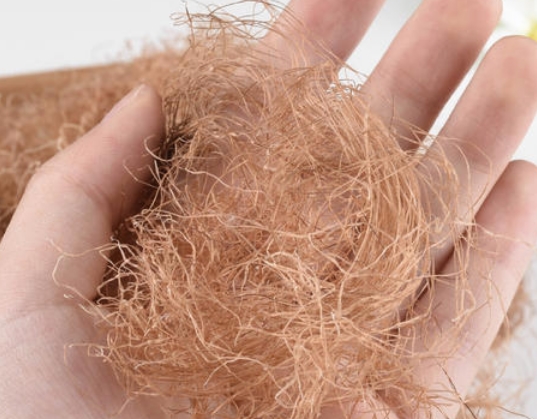 下气|乡间叫它“龙须茶”，泡水喝利尿散热，控三高也是“一把好手”