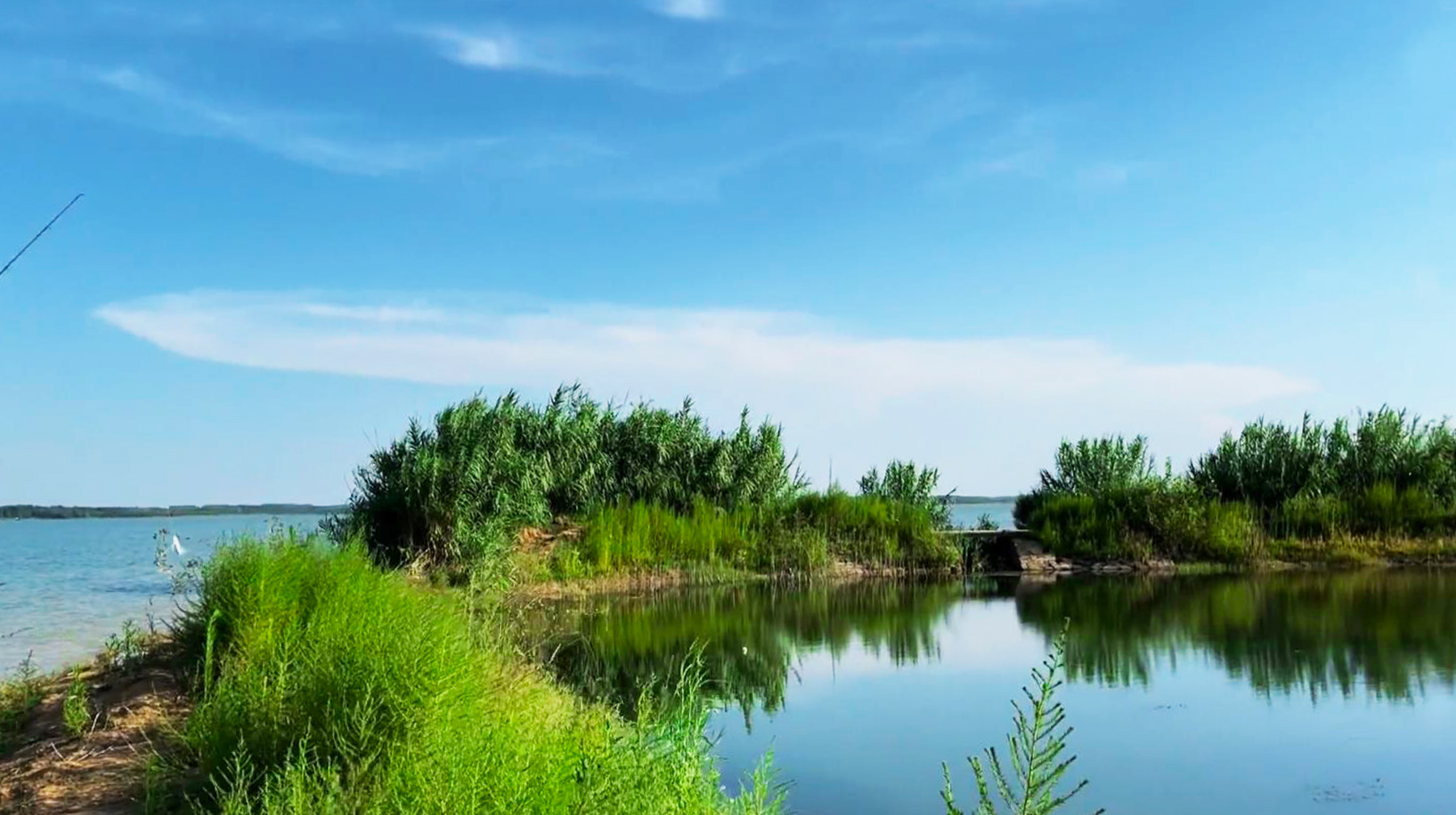 原创抓住夏天的尾巴到武汉郊区这座水质好的湖里野泳周末全是人