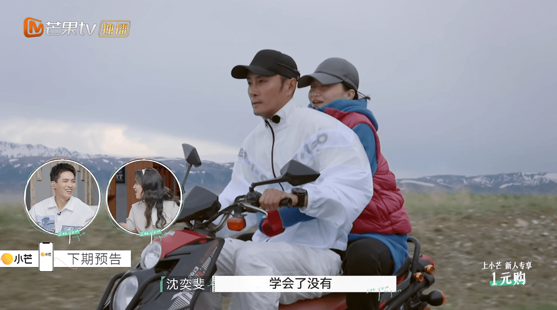 观众|再见爱人：魏巍自卑又暴躁，发飙吓到杨迪，佟晨洁不生孩子是对的