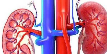 秘密|为什么肾病比糖尿病、高血压更难治?这里藏着医生不愿意说的秘密