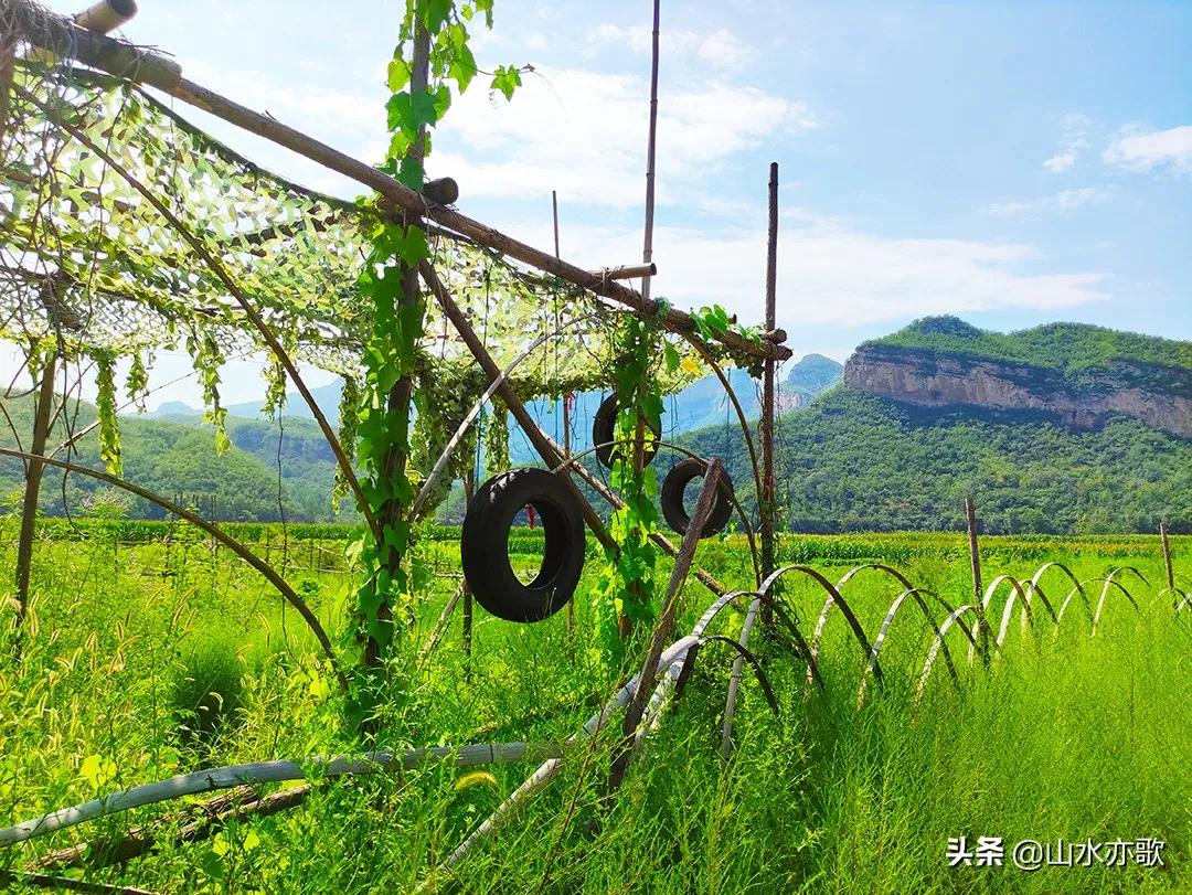 七狮村|七狮庄园！井陉！天上人间！