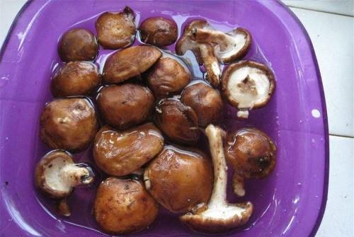 九个月可以吃芋头吗 e0eb2f5d59c24a949f2a6dbf32b50a5b.jpeg