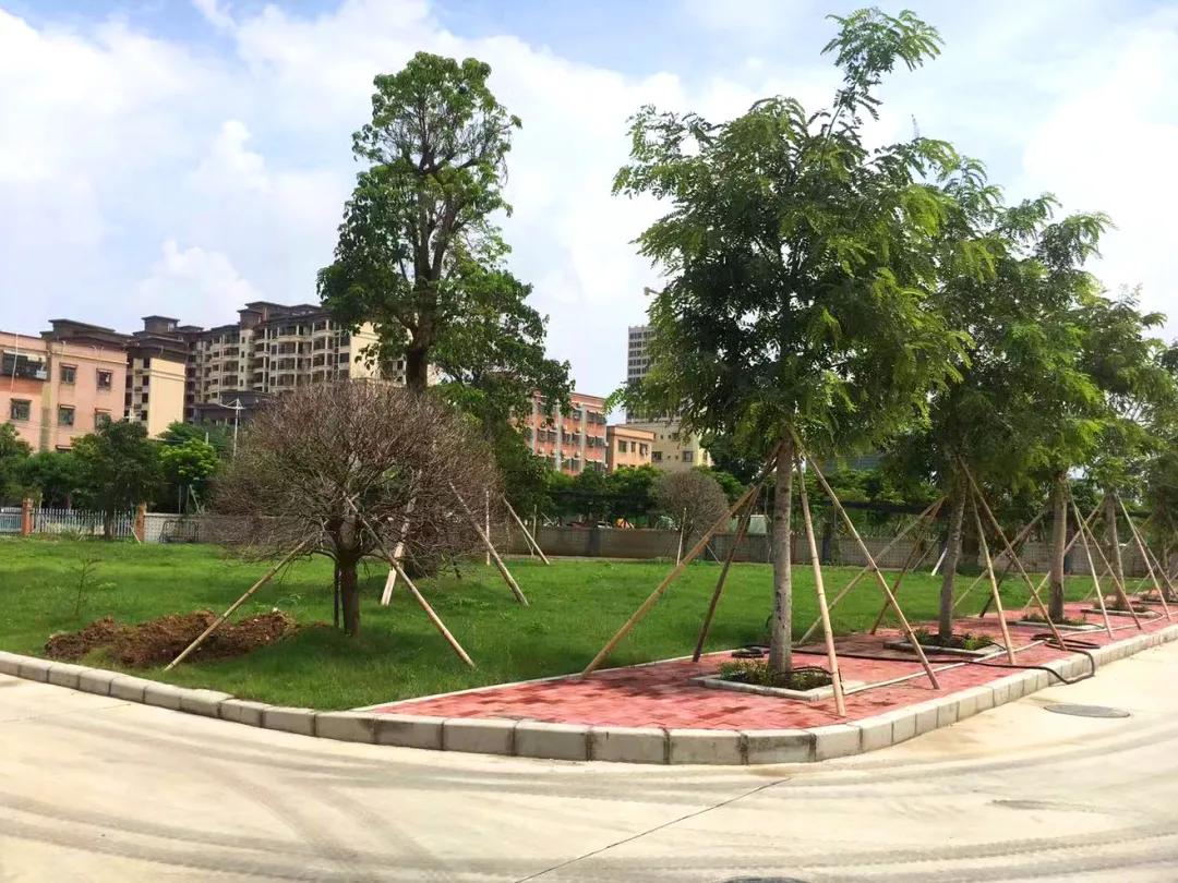 投资150万元!中山这所小学完成校园环境升级改造啦