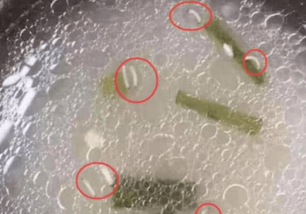 因为|幼儿园群内发午餐照，家长眼尖发现问题，直接找园长讨说法