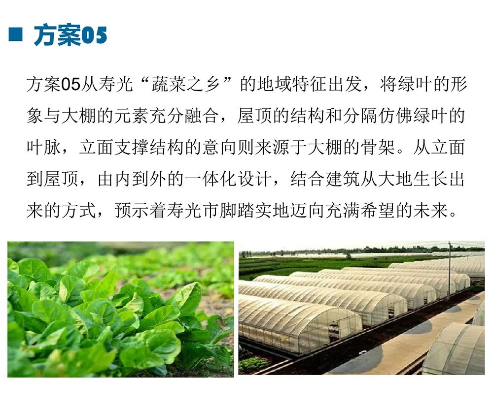寿光|“大棚”还是“蔬菜”？你想让高铁寿光东站长啥样？