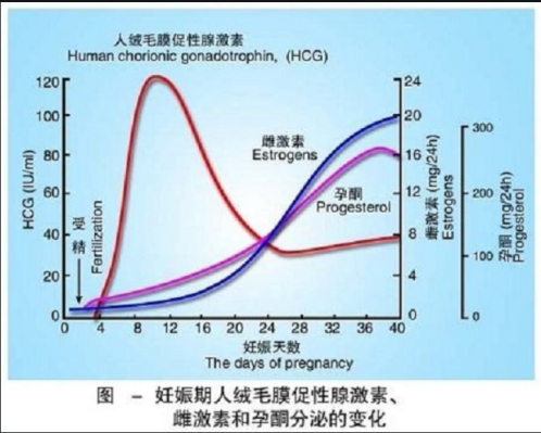 智商|孕期涂橄榄油不长妊娠纹？别交智商税了！做好这些事，远离妊娠纹