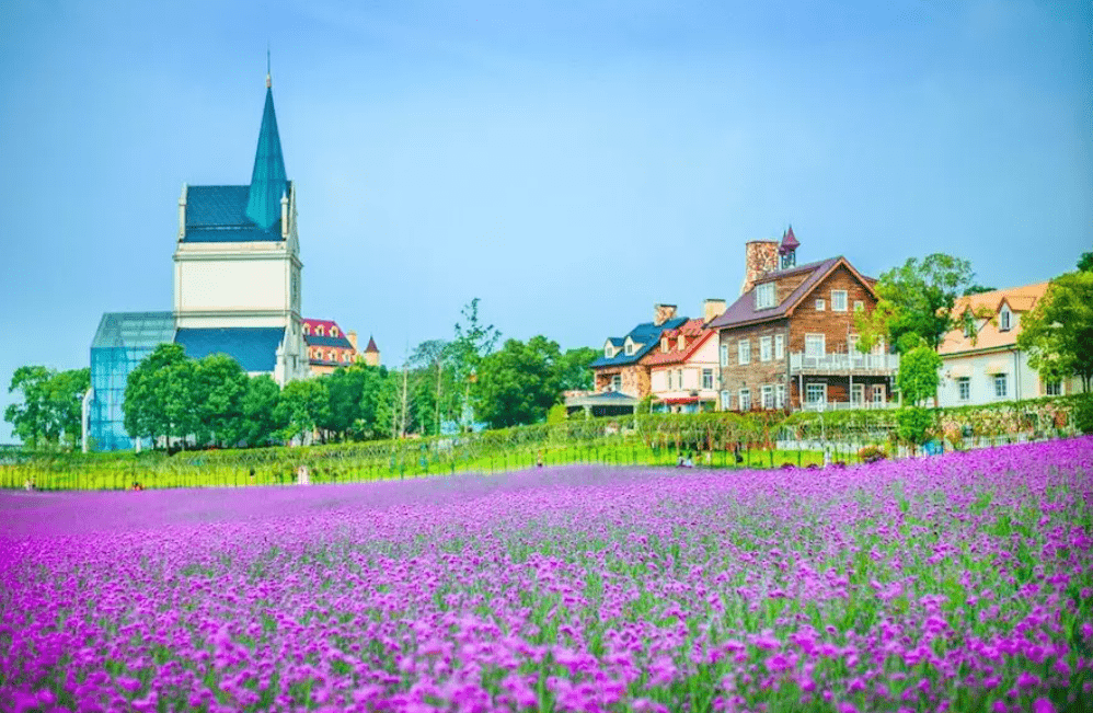 蔡甸区gdp_武汉7个区跻身 千亿区 ,还有2个区GDP逼近千亿元(2)