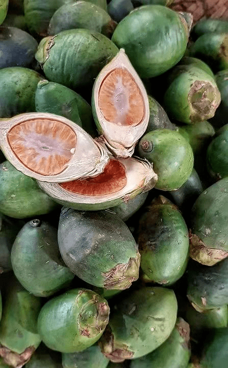 广告|慎入！男子长期口含此物，结果割掉半边脸