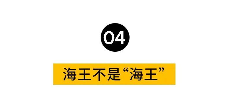 因为|这个全球第一“海王”！怎么就这么招女孩子喜欢？