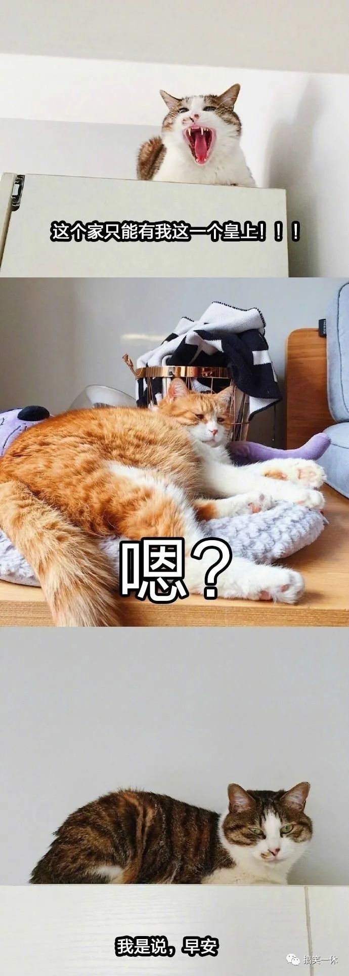 买点|你不理我,我也不理你,你一理我......