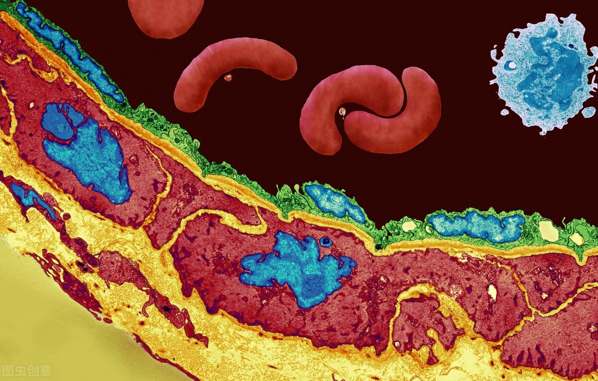 如果因为充血而造成心力衰竭,有缩窄性心包炎这些现象会使静水压增加