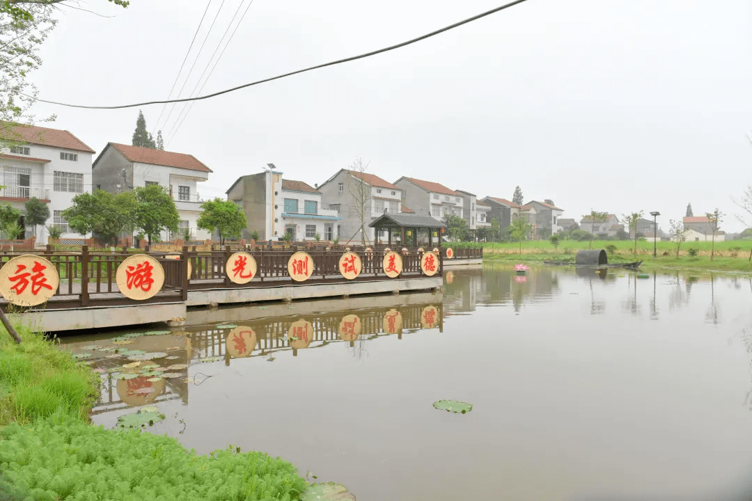 荆州区以新发展理念建设新时代美丽乡村纪实