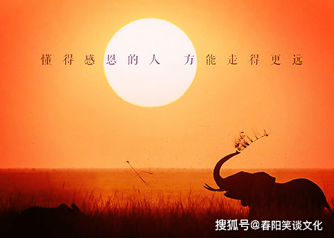 7bd765c3be394c7f83339e097406fdaa.png
