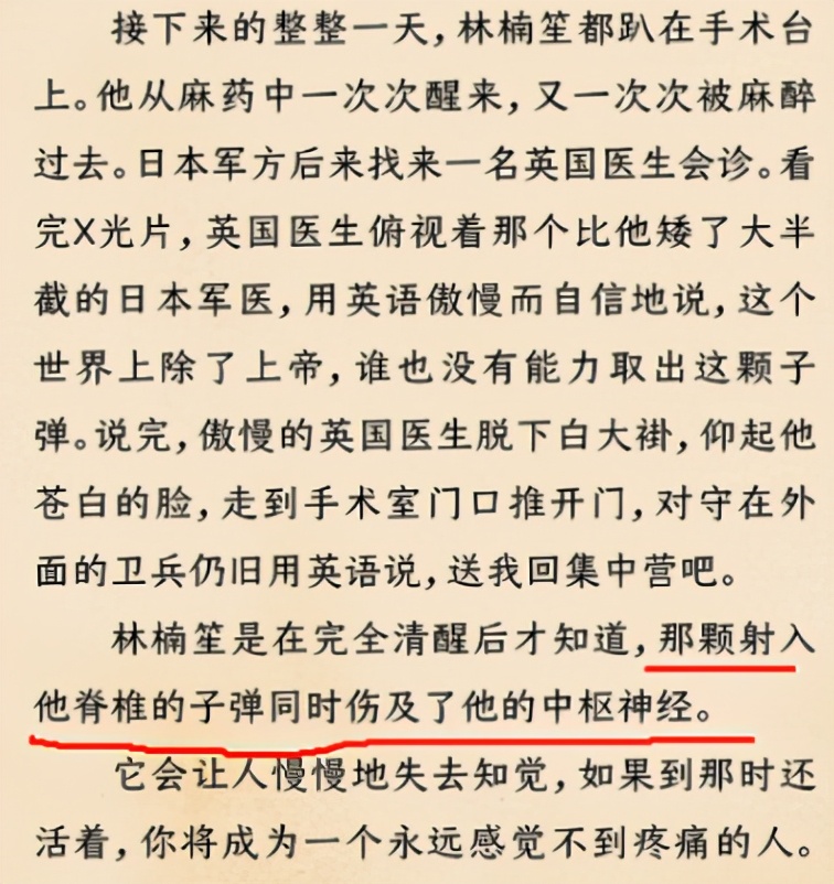 蓝小姐|《叛逆者》原著中，林楠笙和蓝小姐，才不是纯洁的男女关系