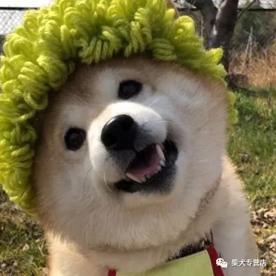 e6b63ea00cea4bb9a8685be83b5a327f.jpeg
