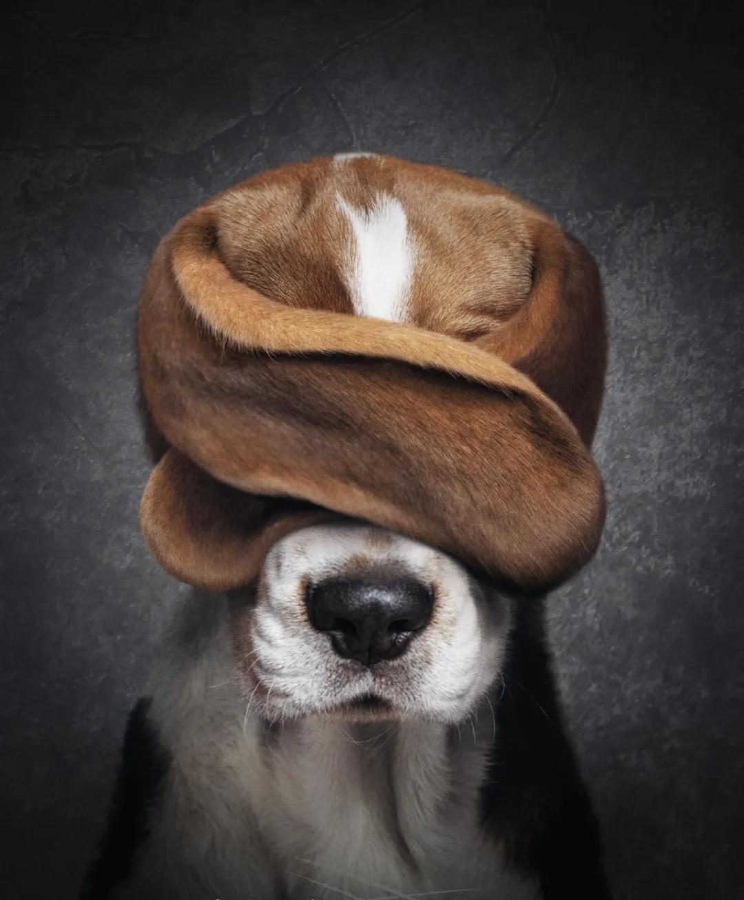 广告设计的夸张创意手法