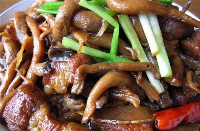 爆辣金针菇做法家常菜 3ac6b39467894c3aa5fe32f90d7d3d80.jpeg
