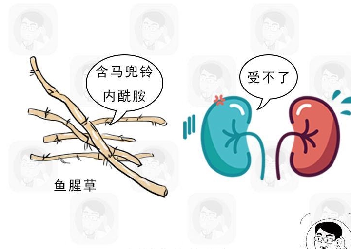 肾脏|想要避免尿毒症,这些“肾毒性”食物,最好别吃