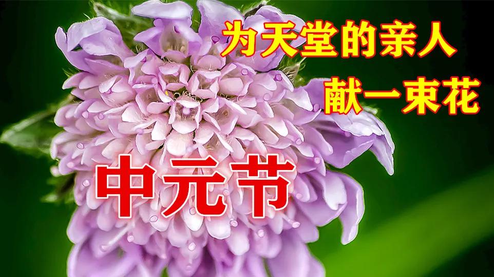 原创8月22日中元节早上好动态表情图片大全中元节早上好问候语句子