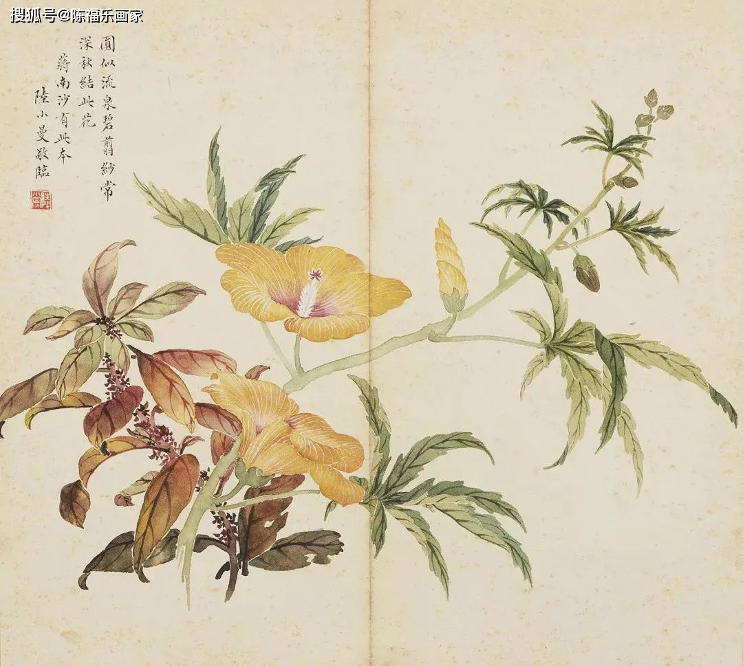 陆小曼花卉册页，惊艳！_搜狐网