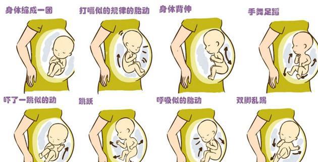 33周胎儿在肚子里姿势图片