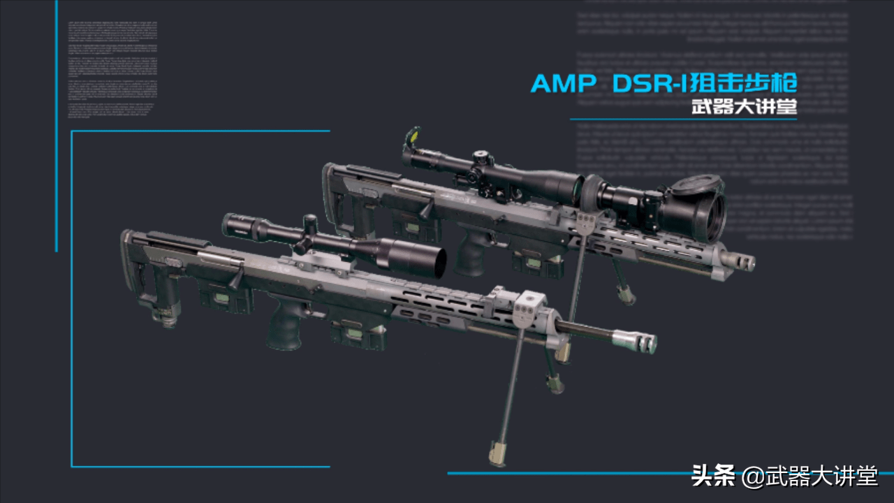 無託狙擊步槍的代表詳解德國dsr1狙擊步槍精度驚人