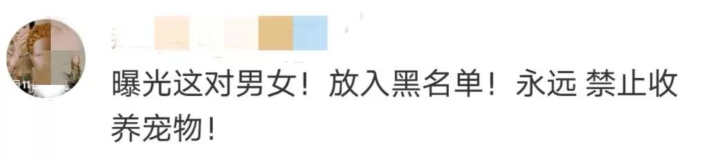 生命|情侣搬家将宠物狗遗弃出租屋十几天，致其浑身生蛆！多位明星发声
