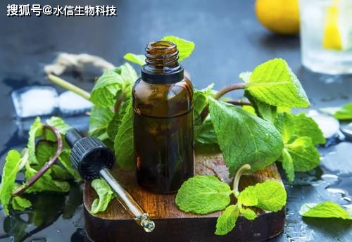 毛孔|以油养肤｜薄荷精油