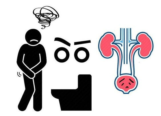 肾脏|腰痛等于肾病？带你揭秘4种肾病与腰痛的关系，为了健康多了解