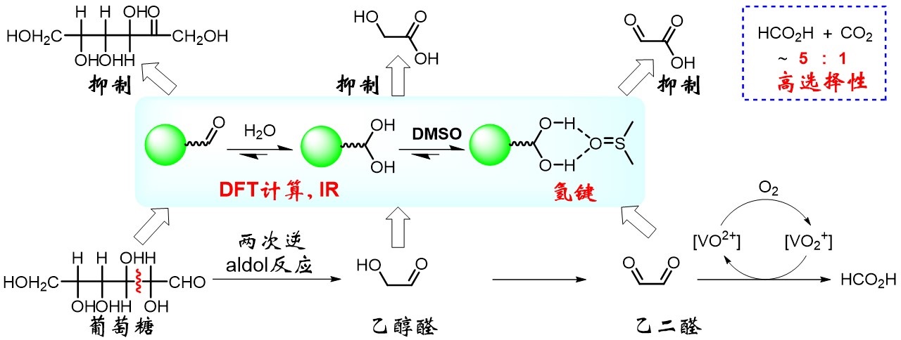 西安交大科研人員在生物質高效製備甲酸機理與應用研究中取得新進展