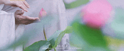 曾小敏|这部“惊艳”又高分的《白蛇传》,为什么叫好不叫座?