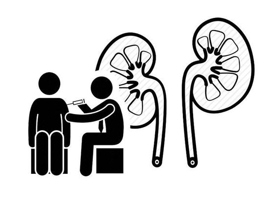 肾脏|腰痛等于肾病？带你揭秘4种肾病与腰痛的关系，为了健康多了解