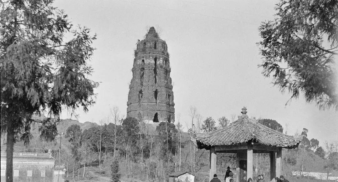 曾小敏|这部“惊艳”又高分的《白蛇传》,为什么叫好不叫座?