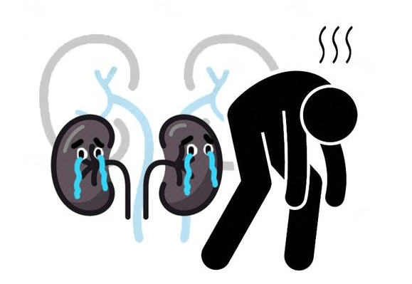 肾脏|腰痛等于肾病？带你揭秘4种肾病与腰痛的关系，为了健康多了解